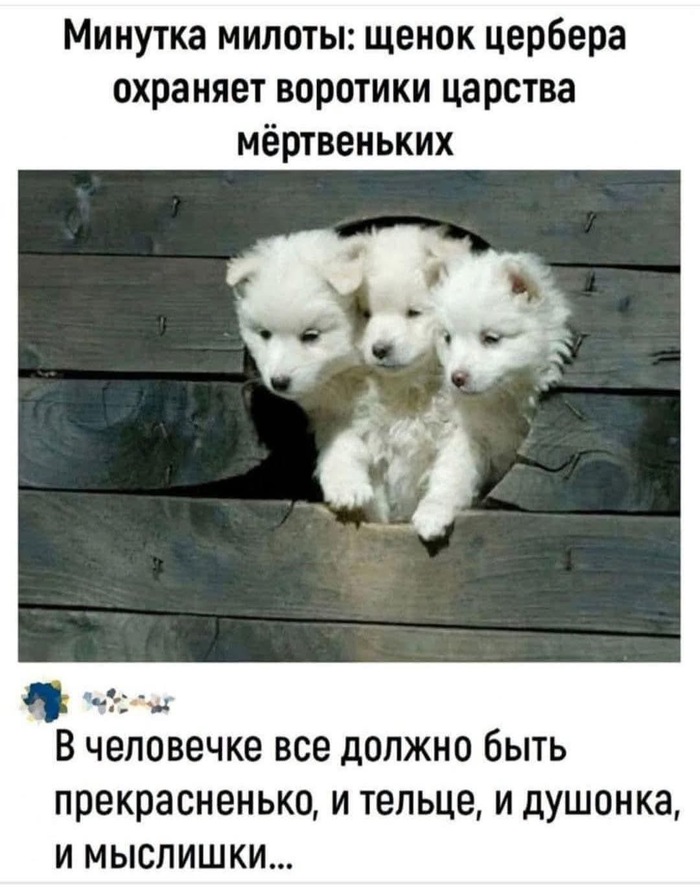 Милота-то какая, милота!