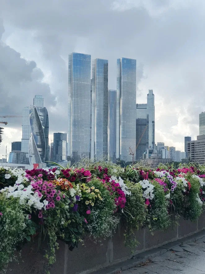 Response to the post A Regular Walk Around Moscow - My, Moscow, The property, Prices, Ideally, Residential complex, Screenshot, Reply to post, Longpost