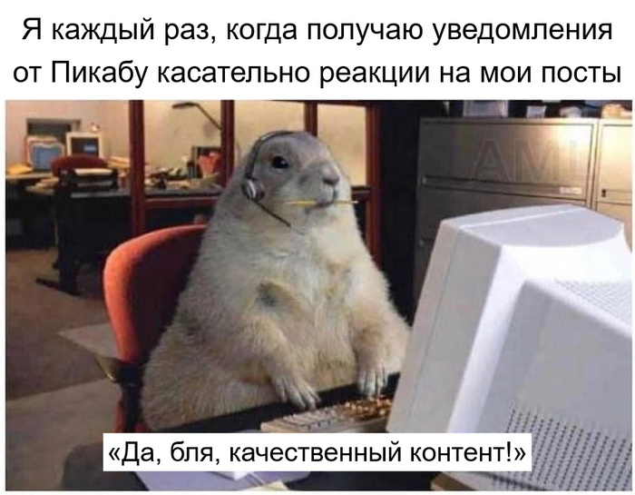 Про контент ))