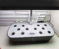 ����� ������