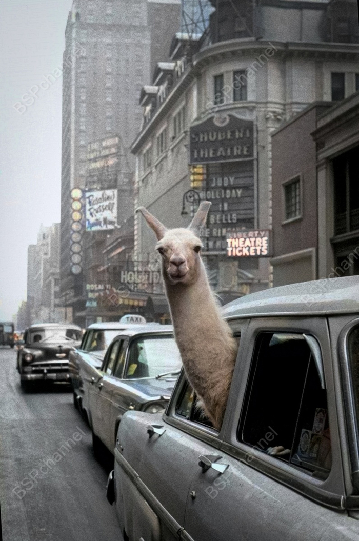 Фотограф: Инге Морат