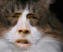 ������������