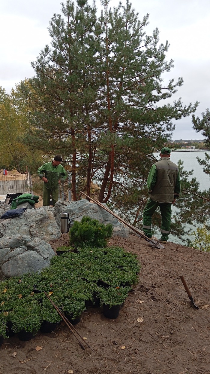          45&#xB0;,           ))) 