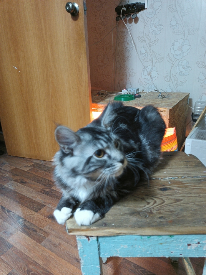 Пятимесячная жопа Рокки передает привет.