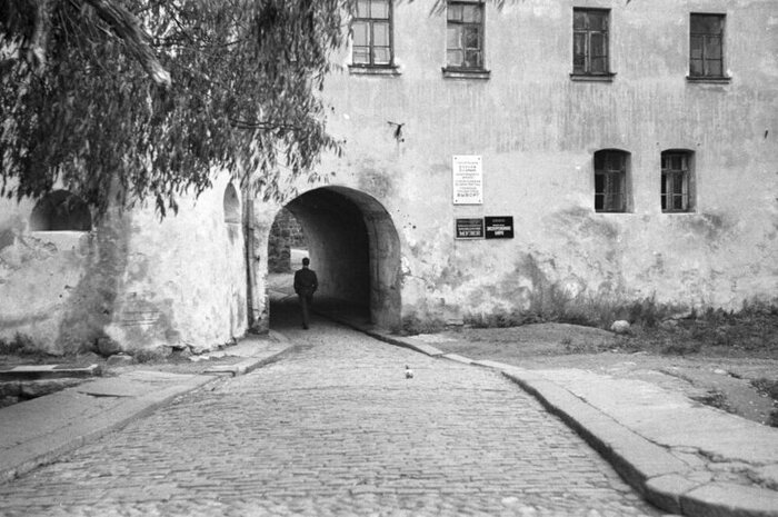 Фотография из открытых источников