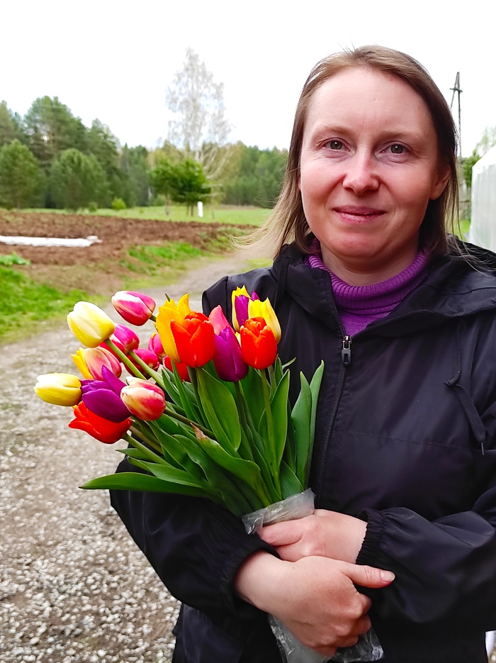 Тюльпаны для жены