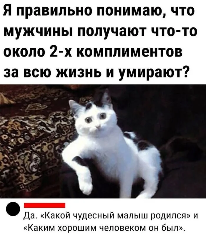 6ljci2f3.webp