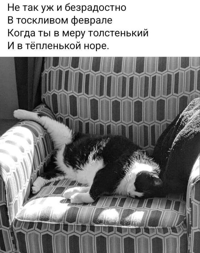 Зима близко