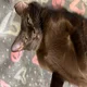 Аватар пользователя MiroBF