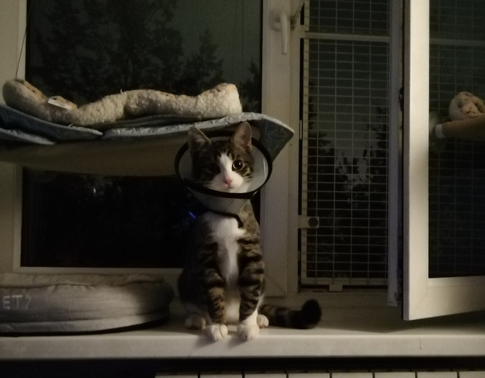 Сидит страдалец