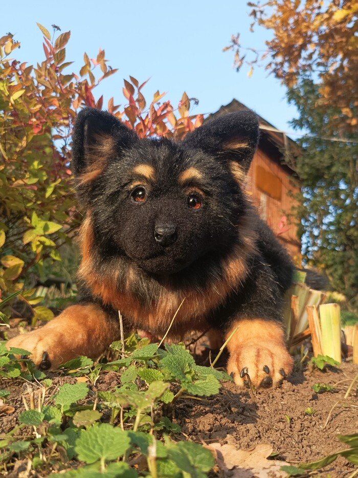 Осенние краски