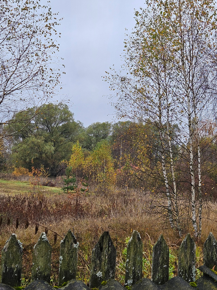 Вид на задках многообещающий