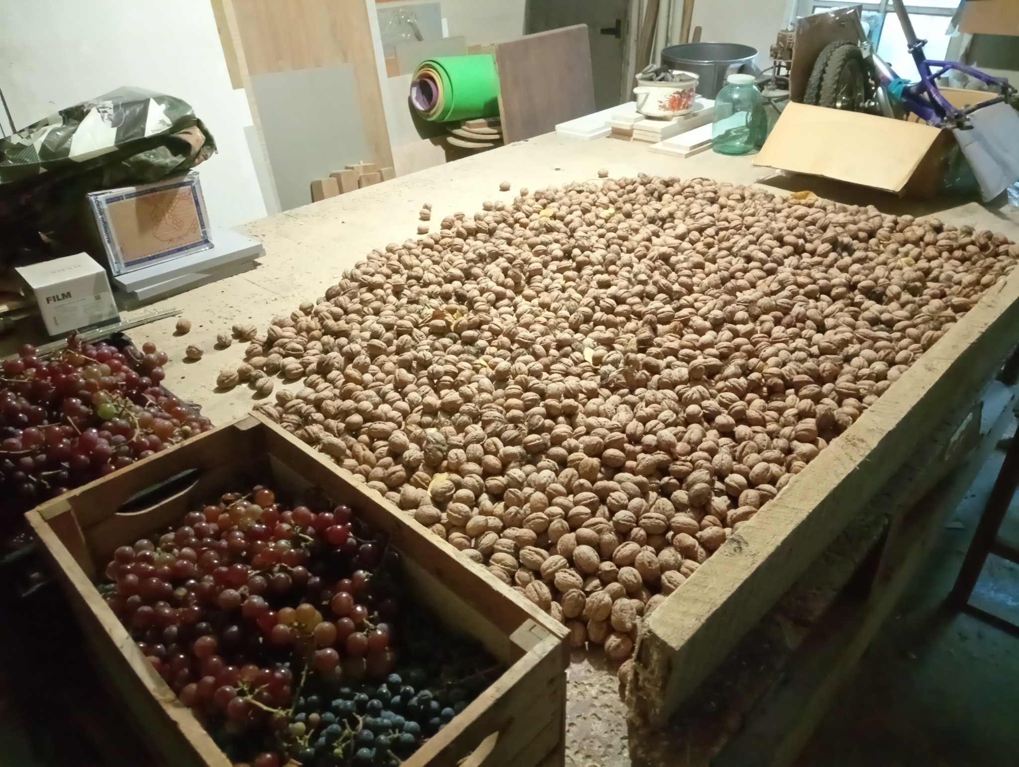 Орехи и виноград - Моё, Грецкие орехи, Виноград, Урожай, Дача, Еда