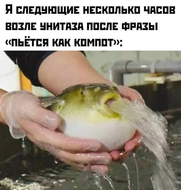 Хорошо пошел