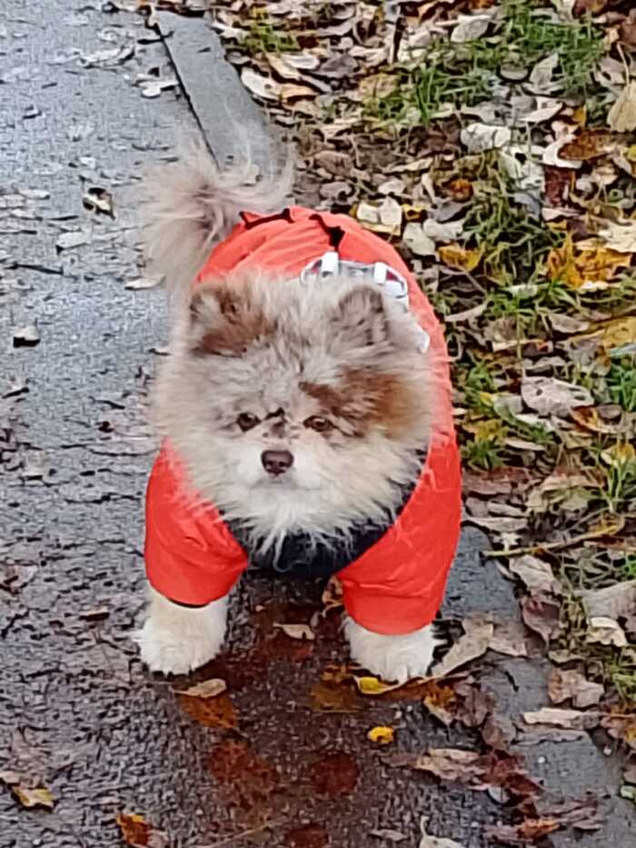 �������� ������� � ������ ������