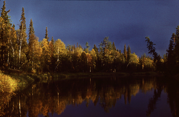 А вот и самая Мегра. В хорошую погоду - очень красивая и величественная река.