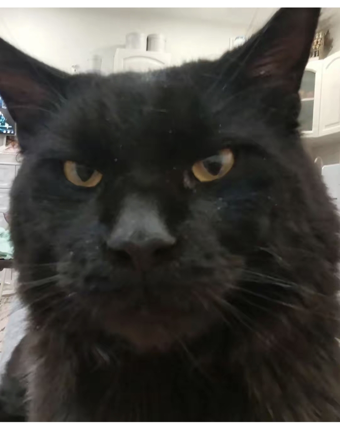 Я очень добрый...!