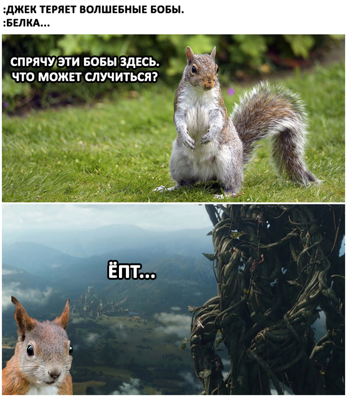 Волшебные бобы