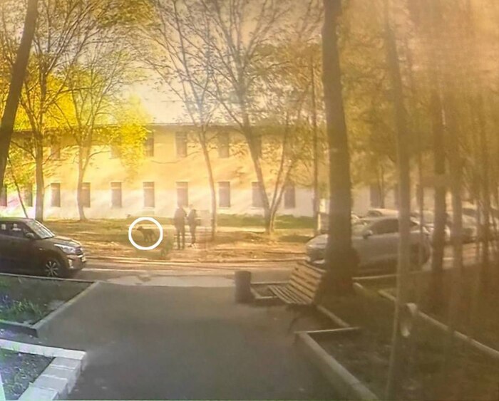 Оштрафовали за мочу собаки