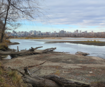 ������������� ��������