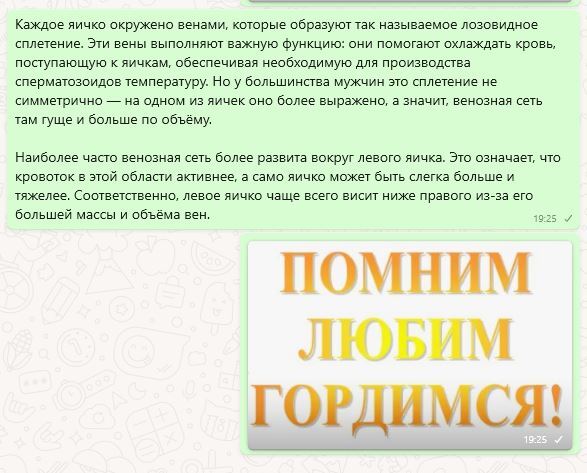 Помню горжусь