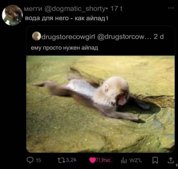 Мартышка в шоке: "Опять эти мемы про меня и айпад?!"