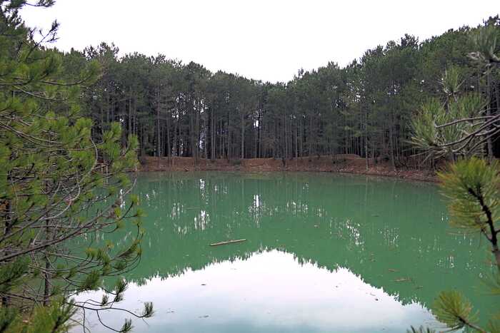 Зеленое озеро - рукотворное, это специально выкопанное хранилище воды для борьбы с лесными пожарами