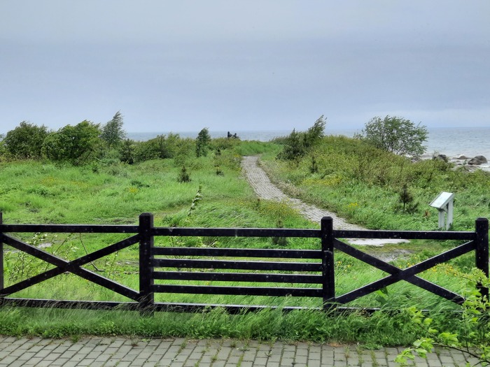 166 дней Есенина #26