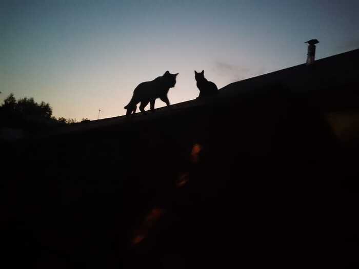 ���� �� ������