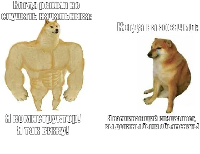 Зумеры на моей работе - Моё, Зумеры, Работа, Doge, Начальство, Картинка с текстом