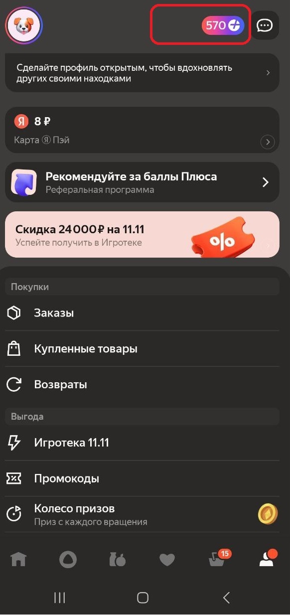 Как видите бонусы есть и вы их можете потратить.