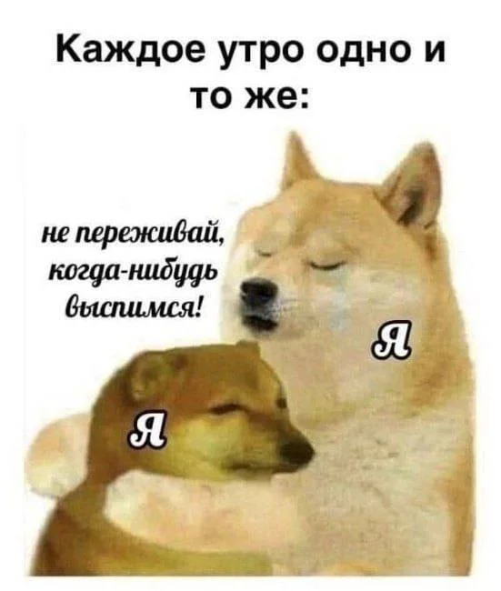 Утро - Юмор, Картинка с текстом, Мемы, Сон, Doge, Грустный юмор, Telegram (ссылка)