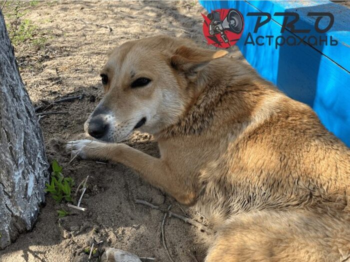 ������������ ���� �� ������� ��� ������������ �����