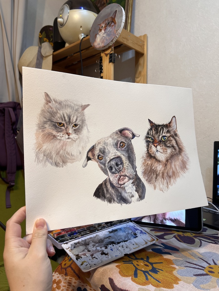 Lana "Lanaquarele" Torchon 5676  300 /2