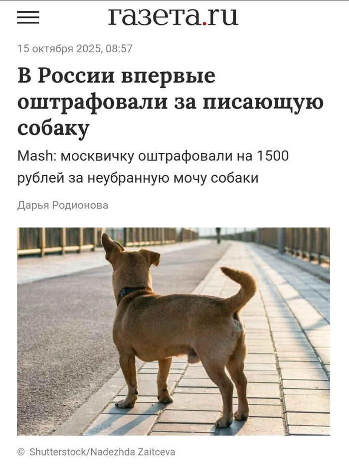 А теперь к по-настоящему актуальным новостям