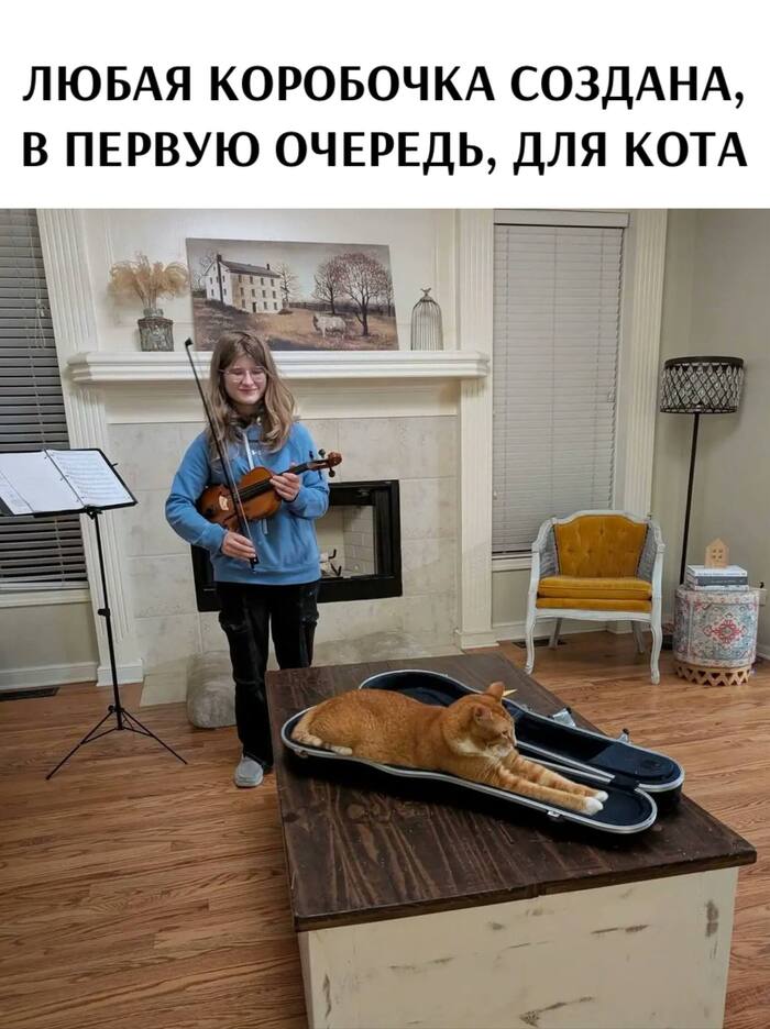   ,    