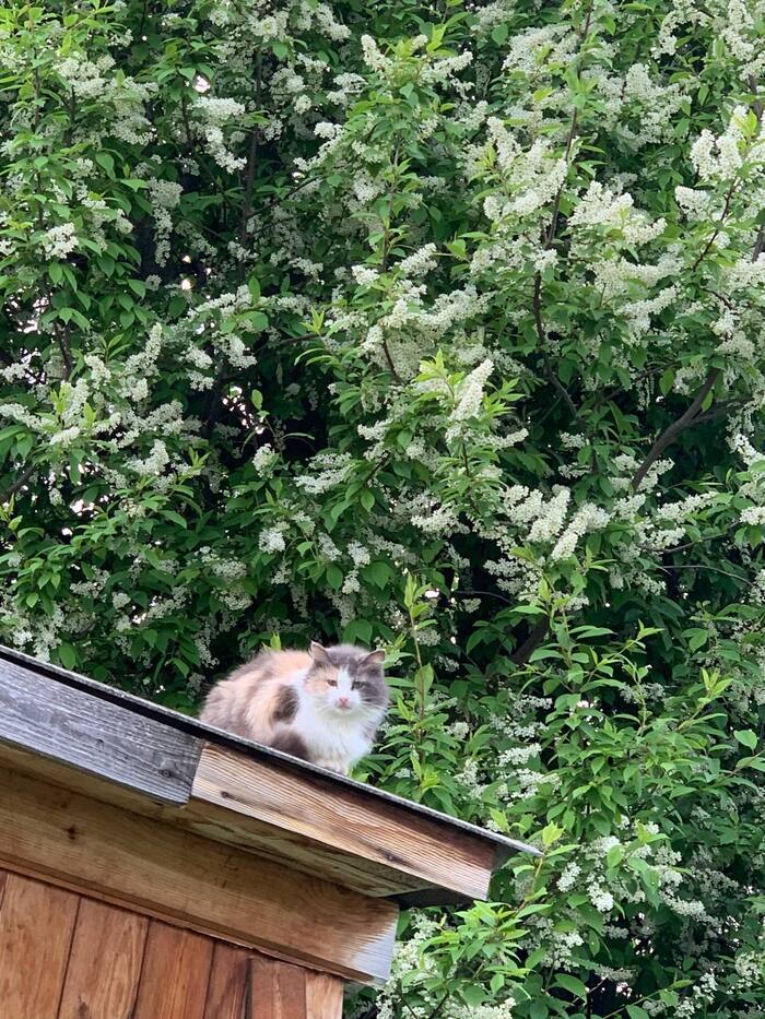 166 дней есенина #27