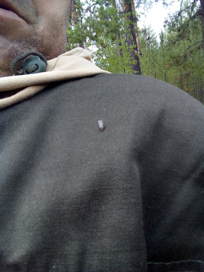    ,     , .  .  ,    .      .