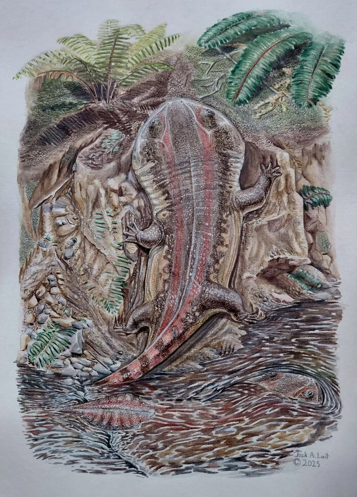 Овраги каменноугольного периода