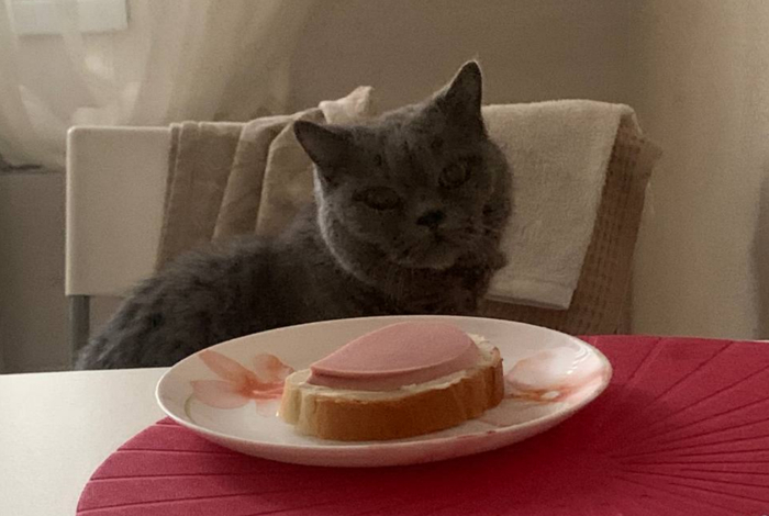 Доброе утро!