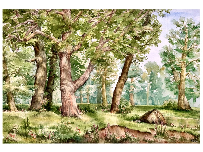 40х60, акварель, бумага (100% хлопок)