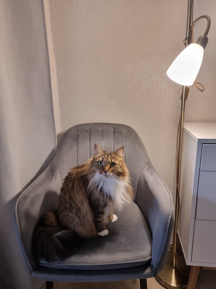 ���������