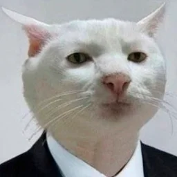 user9234029