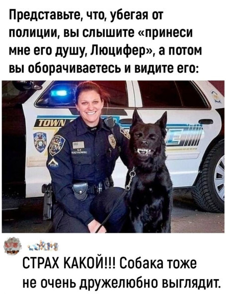 Люцифер — хороший мальчик. Просто у него работа такая: души таскать