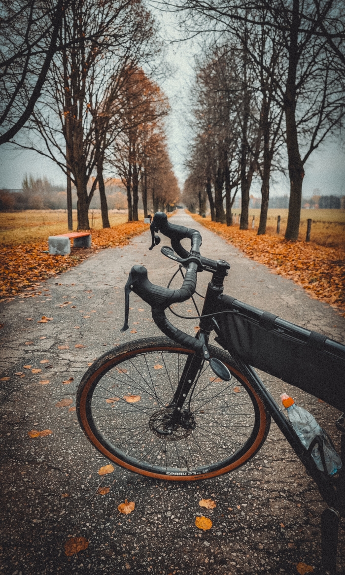 Холодными осенними дорожками