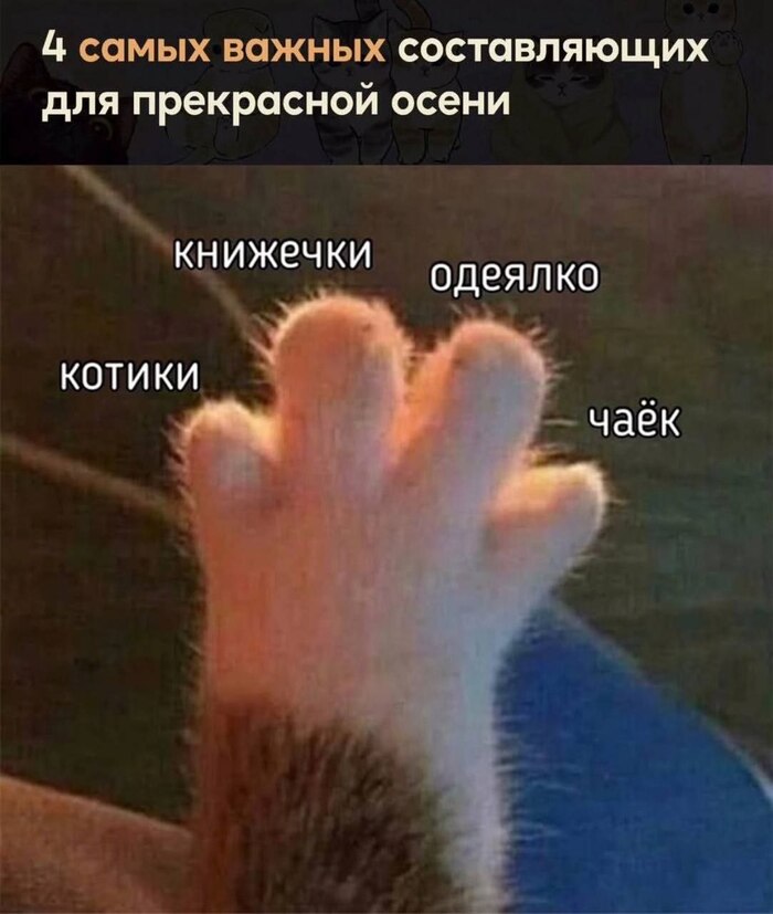 <a href="https://pikabu.ru/story/dlya_prekrasnoy_oseni_13312050?u=https%3A%2F%2Ft.me%2Fknigotey&t=%D0%9A%D0%BD%D0%B8%D0%B6%D0%BD%D1%8B%D0%B9%20%D1%82%D0%B5%D0%BB%D0%B5%D0%B3%D1%80%D0%B0%D0%BC-%D0%BA%D0%B0%D0%BD%D0%B0%D0%BB&h=b302cf0cc775f0a3f9e2c817e81ea72964ed4866" title="https://t.me/knigotey" target="_blank" rel="nofollow noopener">Книжный телеграм-канал</a>