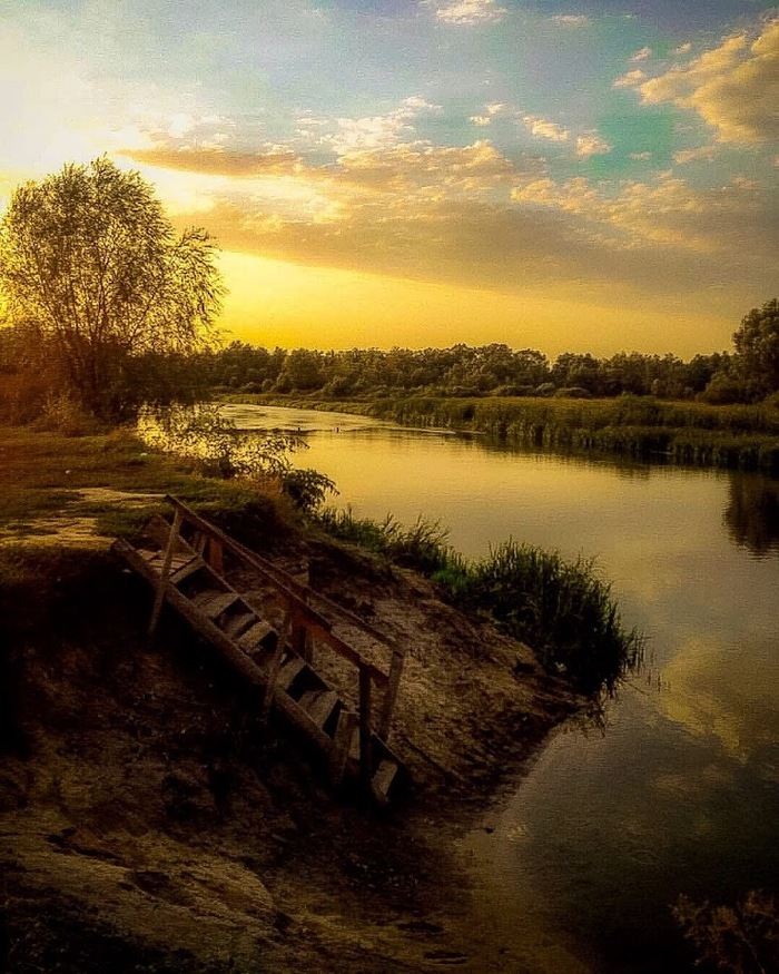 Тишины хочу