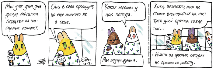 Котейкины Новости от 21.10.2025