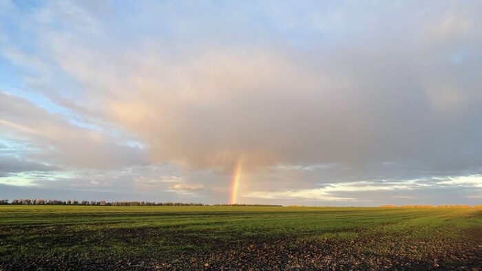 Радужный протокол связи активирован 🦄