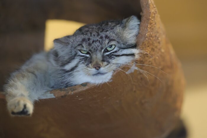 Вы бодры? Веселы? Вот и я - нет...